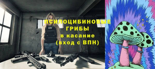 гидра Михайлов